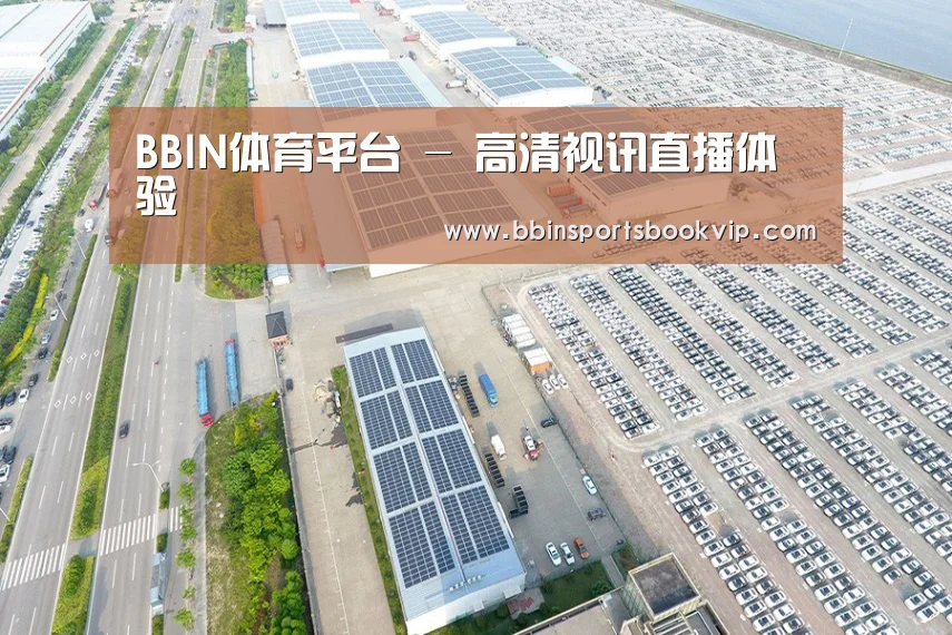 案例展示四