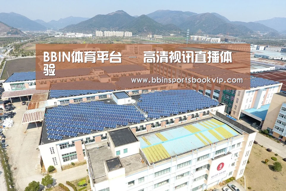 案例展示三