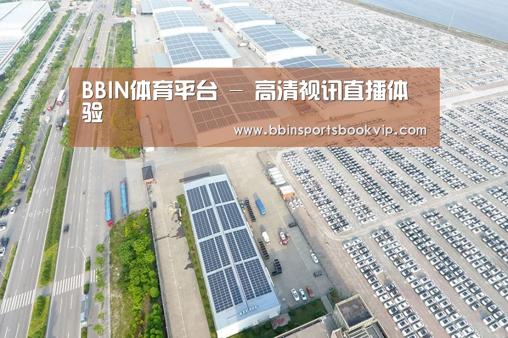 案例展示三
