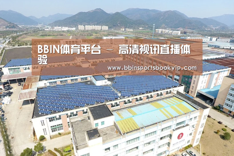 案例展示三