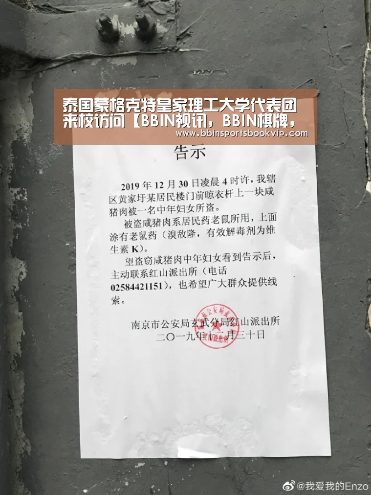BBIN视讯，BBIN棋牌，BBIN真人，BBIN电子