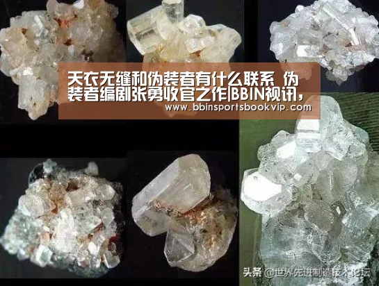 BBIN视讯，BBIN棋牌，BBIN真人，BBIN电子