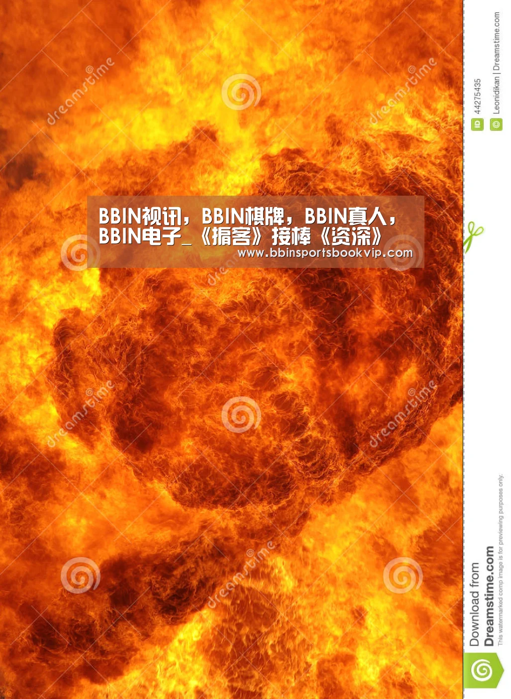 BBIN视讯，BBIN棋牌，BBIN真人，BBIN电子