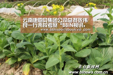 云南康恩贝集团公司总裁张伟良一行来校考察“BBIN视讯,BBIN棋牌,BBIN真人,BBIN电子”(图1) BBIN视讯,BBIN棋牌,BBIN真人,BBIN电子