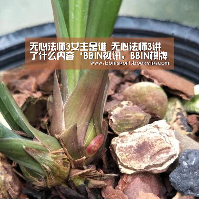BBIN视讯，BBIN棋牌，BBIN真人，BBIN电子