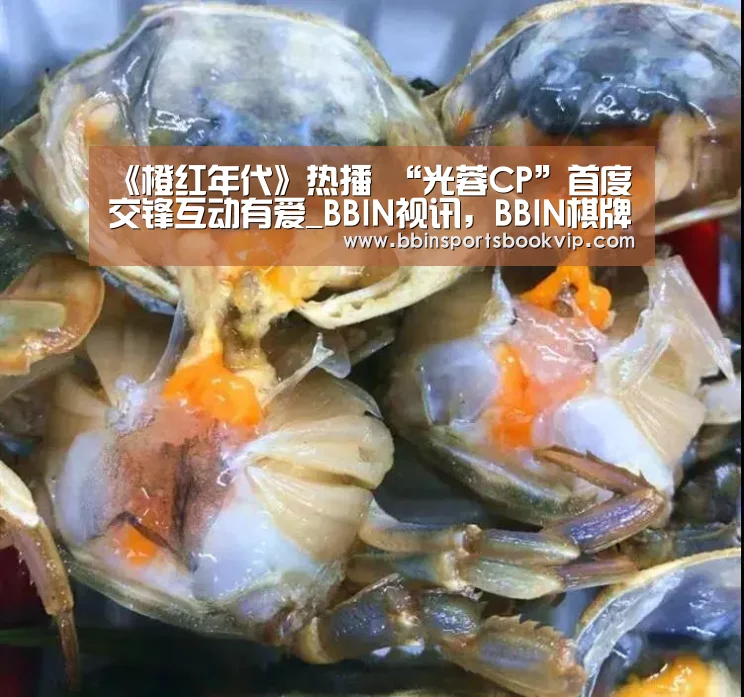 BBIN视讯，BBIN棋牌，BBIN真人，BBIN电子