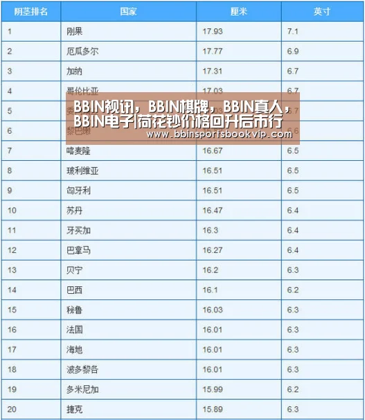 BBIN视讯，BBIN棋牌，BBIN真人，BBIN电子