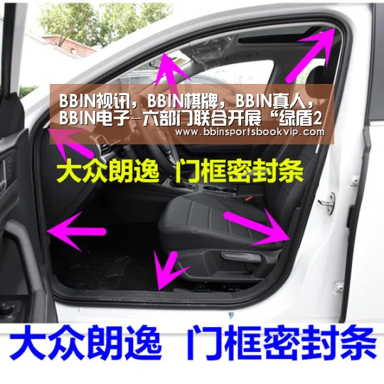 BBIN视讯，BBIN棋牌，BBIN真人，BBIN电子