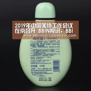 2019年中国美协工作会议在京召开_BBIN视讯,BBIN棋牌,BBIN真人,BBIN电子(图1) BBIN视讯,BBIN棋牌,BBIN真人,BBIN电子