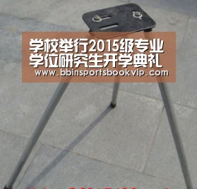 学校举行2015级专业学位研究生开学典礼-BBIN视讯,BBIN棋牌,BBIN真人,BBIN电子(图4) BBIN视讯,BBIN棋牌,BBIN真人,BBIN电子