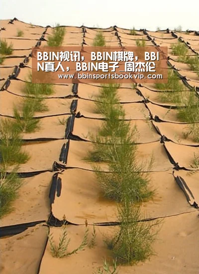 BBIN视讯,BBIN棋牌,BBIN真人,BBIN电子_周杰伦吴亦凡范丞丞UNINE新裤子爱奇艺夏日青春漾启动狂欢模式(图4) BBIN视讯,BBIN棋牌,BBIN真人,BBIN电子