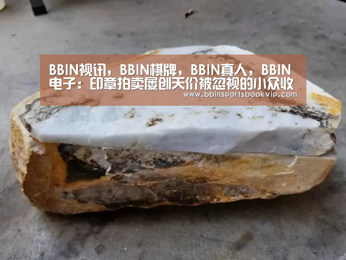 BBIN视讯，BBIN棋牌，BBIN真人，BBIN电子